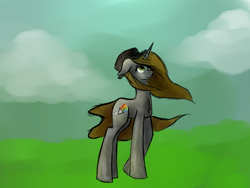 Size: 800x600 | Tagged: safe, artist:rain-sparkle, oc, oc only, oc:prizm, windswept mane