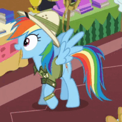 Size: 294x294 | Tagged: safe, screencap, daring do, rainbow dash, pegasus, pony, stranger than fan fiction, adorkable, animated, clothes, cute, dashabetes, dork, excited, happy, hat, loop, prancing, solo, spread wings, trotting, trotting in place