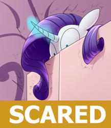 Size: 372x429 | Tagged: safe, artist:underpable, derpibooru import, edit, rarity, pony, unicorn, exploitable meme, hiding, magic, meme, reaction image, scared, why.jpg