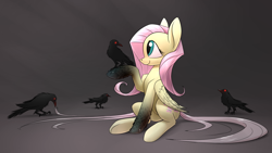 Size: 1920x1080 | Tagged: safe, artist:underpable, derpibooru import, part of a set, fluttershy, bird, crow, pegasus, pony, bioshock, bioshock infinite, crossover, cute, eye contact, female, glowing eyes, gradient background, gray background, long tail, looking at each other, mare, murder of crows, raised hoof, simple background, sitting, smiling, underhoof, vigor, wallpaper