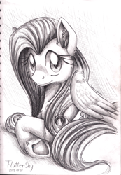 Size: 900x1304 | Tagged: safe, artist:inuhoshi-to-darkpen, fluttershy, pegasus, pony, cute, ear fluff, monochrome, prone, shyabetes, solo, traditional art, underhoof, unshorn fetlocks