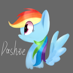 Size: 2000x2000 | Tagged: safe, artist:yaaaco, derpibooru import, rainbow dash, pegasus, pony, bust, female, gray background, lineless, mare, portrait, profile, simple background, solo, spread wings, wings