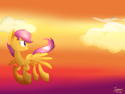 Size: 6000x4500 | Tagged: safe, artist:yaaaco, derpibooru import, scootaloo, pegasus, absurd resolution, female, filly, orange coat, purple mane, solo