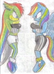 Size: 2541x3467 | Tagged: safe, artist:jcmx, derpibooru import, rainbow dash, oc, oc:niji, anthro, plantigrade anthro, breasts, female, rainboob dash, sonic the hedgehog (series), sonicified, traditional art