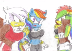 Size: 3493x2482 | Tagged: safe, artist:jcmx, derpibooru import, gilda, rainbow dash, oc, oc:niji, anthro, griffon, sonic the hedgehog (series), sonicified, traditional art