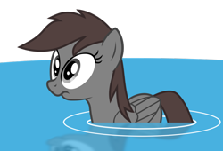 Size: 1024x698 | Tagged: safe, artist:duckponies, oc, oc only, duck pony, simple background, solo, transparent background, vector, water