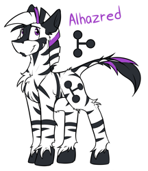 Size: 2715x3147 | Tagged: safe, artist:ralek, oc, oc only, oc:alhazred, zebra, explicit source, male, reference sheet, simple background, solo, stallion, text, white background