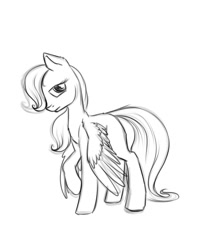 Size: 800x970 | Tagged: safe, artist:28gooddays, fluttershy, pegasus, pony, blank flank, filly, hair over one eye, looking at you, monochrome, raised hoof, simple background, sketch, spread wings, white background, young