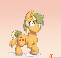 Size: 1550x1450 | Tagged: safe, artist:alasou, derpibooru import, applejack, earth pony, pony, cute, jackabetes, looking up, patreon, patreon logo, raised hoof, solo, towel, unshorn fetlocks, wet, wet mane