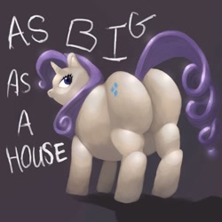 Size: 1200x1200 | Tagged: safe, rarity, pony, unicorn, fat, obese, plot, raritubby, rearity