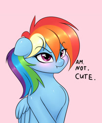 Size: 1000x1200 | Tagged: safe, artist:elzzombie, rainbow dash, pegasus, pony, :t, blatant lies, blushing, cute, dashabetes, female, floppy ears, glare, i'm not cute, looking at you, madorable, mare, pink background, scrunchy face, simple background, solo, truth, tsunderainbow, tsundere