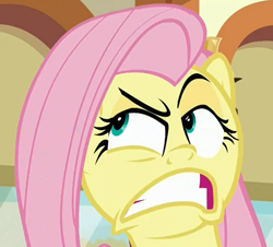 Size: 774x700 | Tagged: safe, screencap, fluttershy, pegasus, pony, buckball season, cropped, faic, flutterrage, fluttershy is not amused, great moments in animation, solo