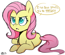 Size: 550x464 | Tagged: safe, artist:higglytownhero, derpibooru import, fluttershy, pegasus, pony, dialogue, female, looking at you, mare, open mouth, prone, serious, serious face, solo, speech bubble