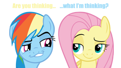 Size: 2400x1350 | Tagged: safe, ambiguous shipping, ambiguous situation, faic, implied flutterdash, smug, smugdash, smugshy, text