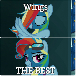 Size: 1080x1080 | Tagged: safe, artist:moonlightprincess002, rainbow dash, pegasus, pony, hairstyling, meme, rainbow fash, wing hands