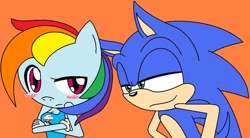 Size: 1024x565 | Tagged: safe, artist:aislynndavis, derpibooru import, rainbow dash, anthro, blushing, crossover, crossover shipping, female, interspecies, male, shipping, sonic the hedgehog, sonic the hedgehog (series), sonicdash, sonicified, straight