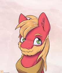 Size: 900x1050 | Tagged: safe, artist:alasou, derpibooru import, big macintosh, earth pony, pony, beard, looking at you, male, patreon, patreon logo, portrait, solo, stallion