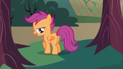 Size: 1100x618 | Tagged: safe, screencap, scootaloo, pony, hearts and hooves day (episode), female, hearts and hooves day, lidded eyes, mare, out of context, plot, solo