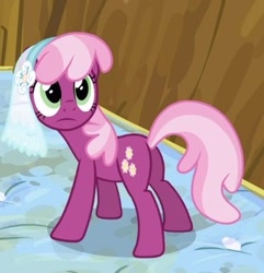 Size: 337x350 | Tagged: safe, screencap, cheerilee, pony, hearts and hooves day (episode), cropped, female, flowerbutt, hearts and hooves day, mare, mattress, plot, solo, veil, wedding veil