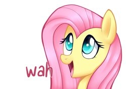 Size: 2500x1767 | Tagged: safe, artist:higglytownhero, derpibooru import, edit, fluttershy, pegasus, pony, bust, colored pupils, cute, dialogue, open mouth, portrait, shyabetes, simple background, solo, speech, wah, white background