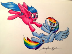 Size: 3264x2448 | Tagged: safe, artist:lunaraleaf, firefly, rainbow dash, pegasus, pony, g1, flying, g1 to g4, generation leap, traditional art