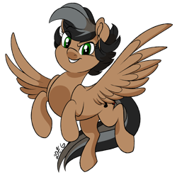 Size: 1024x1024 | Tagged: safe, artist:dragonfoxgirl, oc, oc only, oc:sassy fly, pegasus, pony, simple background, solo, transparent background