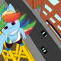 Size: 2000x2000 | Tagged: safe, derpibooru import, rainbow dash, anthro, plantigrade anthro, parkour, selfie, solo