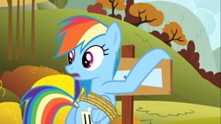 Size: 1100x618 | Tagged: safe, screencap, rainbow dash, pegasus, pony, fall weather friends, bound wings, female, looking back, mare, open mouth, plot, solo