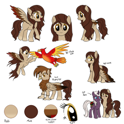 Size: 1000x1000 | Tagged: safe, artist:karmadash, oc, oc only, oc:krystal feathers, oc:nami, hippogriff, blank flank, blushing, kryami, pet, pet oc, reference sheet, simple background, solo, transparent background, wet mane