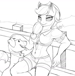 Size: 1280x1290 | Tagged: safe, artist:evehly, derpibooru import, applejack, winona, anthro, abs, sketch, wip