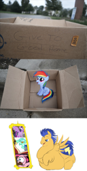 Size: 1323x2575 | Tagged: safe, artist:calorie, berry punch, berryshine, flash sentry, lyra heartstrings, pinkie pie, princess luna, rainbow dash, twilight sparkle, twilight sparkle (alicorn), alicorn, earth pony, pegasus, pony, fanfic:my little dashie, twilight's kingdom, accepted meme that never ends, bhm, cutie mark, dashie meme, exploitable meme, fat, fat sentry, female, filly, flab sentry, gamer luna, good people finding dash meme, mare, meme, mirror, morbidly obese, obese, obligatory pony, royal guard, surprise door, the meme that never ends, tv meme, wat, who destroyed twilight's home