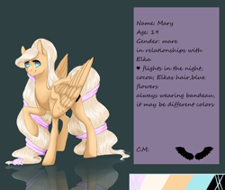 Size: 1900x1600 | Tagged: safe, artist:maria-fly, oc, oc only, oc:mary, reference sheet, ribbon, solo