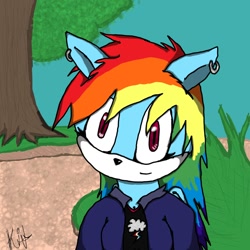 Size: 1024x1024 | Tagged: safe, artist:t0x1cvacc1n3, derpibooru import, rainbow dash, anthro, earring, piercing, solo, sonic the hedgehog (series), sonicified