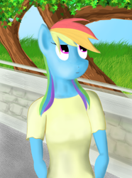 Size: 1080x1452 | Tagged: safe, artist:animerge, derpibooru import, rainbow dash, anthro, solo, wingless, wingless anthro