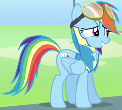 Size: 560x507 | Tagged: safe, screencap, rainbow dash, pegasus, pony, wonderbolts academy, cropped, goggles, outfit catalog, solo, wonderbolt trainee uniform