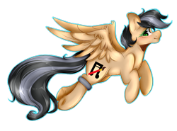 Size: 1023x757 | Tagged: safe, artist:alliedrawsart, oc, oc only, oc:artsong, pegasus, pony, female, mare, simple background, solo, transparent background