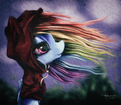 Size: 2300x2000 | Tagged: safe, artist:ferasor, rainbow dash, pegasus, pony, clothes, folded wings, hoodie, looking up, profile, solo, windswept mane