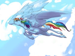 Size: 800x600 | Tagged: safe, artist:little.swamp, rainbow dash, pegasus, pony, cloud, flying, solo