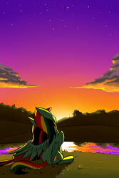 Size: 1800x2700 | Tagged: safe, artist:underpable, derpibooru import, rainbow dash, twilight sparkle, pegasus, pony, female, hug, lake, lesbian, mare, reflection, shipping, stars, sunset, twidash, twilight (astronomy), water, winghug