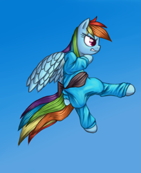 Size: 1767x2162 | Tagged: safe, artist:lurarin, rainbow dash, pegasus, pony, black belt, kung fu, solo