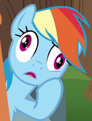 Size: 354x466 | Tagged: safe, edit, edited screencap, editor:paragonaj, screencap, rainbow dash, pegasus, pony, the cart before the ponies, cropped, derp, drool, open mouth, solo