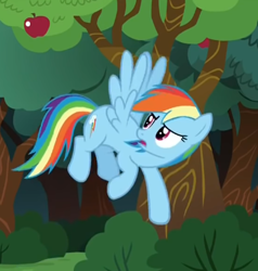 Size: 367x385 | Tagged: safe, screencap, rainbow dash, pegasus, pony, buckball season, flying, solo