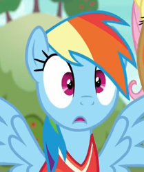 Size: 313x375 | Tagged: safe, screencap, rainbow dash, pegasus, pony, buckball season, cropped, cute, solo