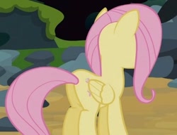 Size: 390x300 | Tagged: safe, screencap, fluttershy, pegasus, pony, spike at your service, cropped, female, mare, plot, solo