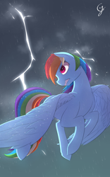 Size: 1200x1920 | Tagged: safe, artist:joe0316, artist:laptop-pone, rainbow dash, pegasus, pony, flying, lightning, rain, signature, solo