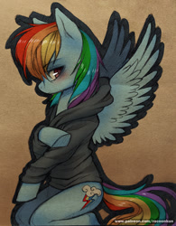 Size: 700x898 | Tagged: safe, artist:racoonsan, rainbow dash, pegasus, pony, blushing, clothes, female, hoodie, kneeling, mare, solo, spread wings, sweater, traditional art
