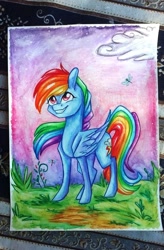 Size: 718x1094 | Tagged: safe, artist:twixyamber, rainbow dash, dragonfly, pegasus, pony, cloud, photo, solo, traditional art