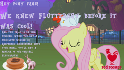 Size: 1280x720 | Tagged: safe, edit, edited screencap, screencap, fluttershy, posey, chicken, pegasus, pony, cake, cheesecake, chocolate mousse, commercial, fast food, food, red rooster