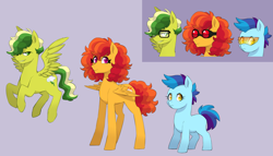 Size: 3500x2000 | Tagged: safe, artist:pikokko, oc, oc only, oc:puffy cloud, oc:storm blast, oc:sunset sky, earth pony, pegasus, pony, glasses, offspring, parent:cheese sandwich, parent:rainbow dash, parents:cheesedash, reference sheet, sisters, sunglasses