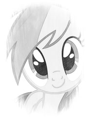 Size: 523x700 | Tagged: safe, rainbow dash, pegasus, pony, female, mare, photofunia, simple background, solo